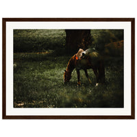 29692c94-b2b0-4888-9e0d-0cef21c60577