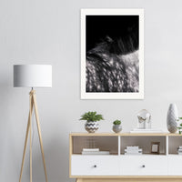 2982f1af-a636-4f7a-b343-ece07a2ced06