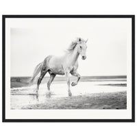 299cbf48-9549-4c32-8160-481c07517ca3