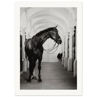 29a8032e-c394-4f5e-8ea9-4772ee852dd2