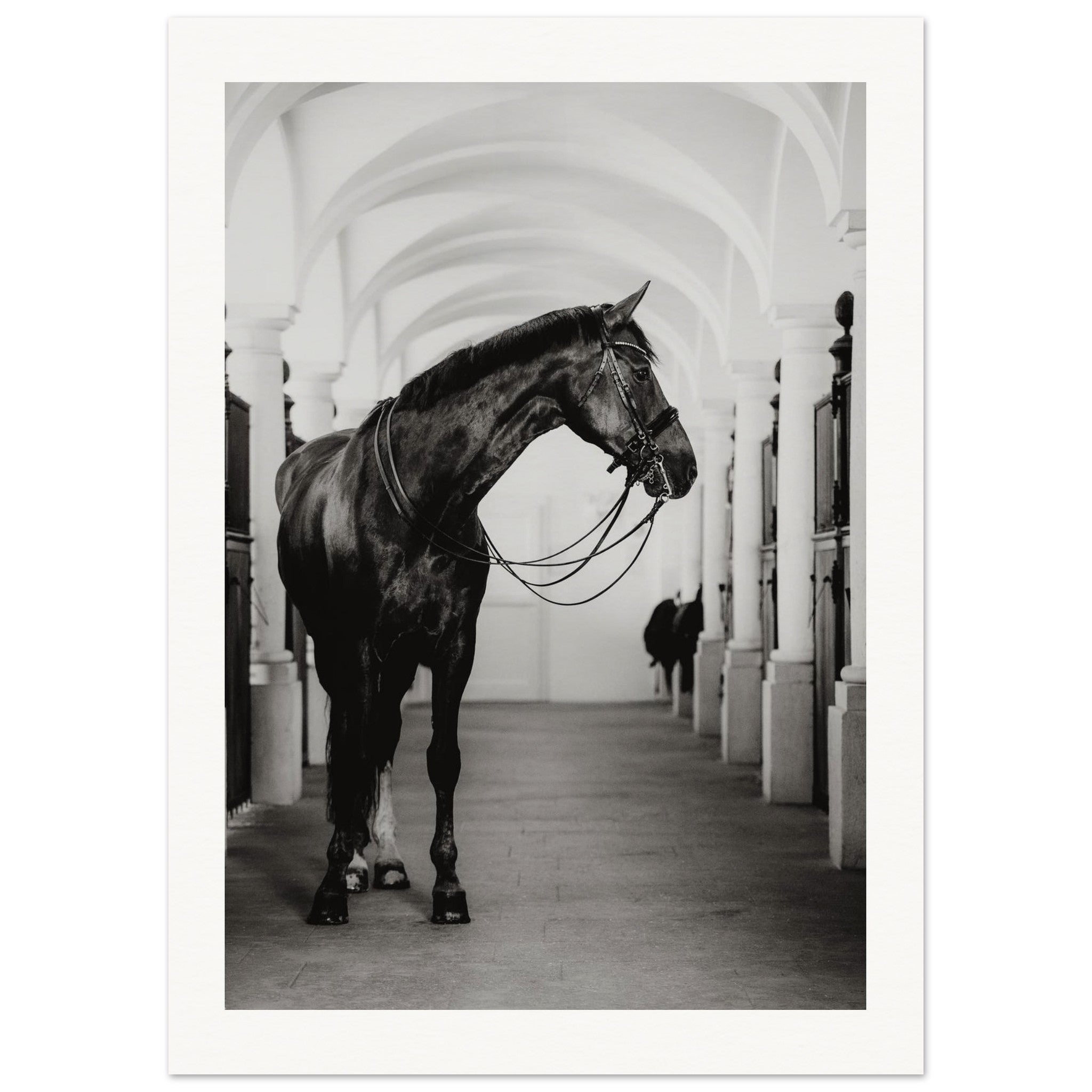 29a8032e-c394-4f5e-8ea9-4772ee852dd2