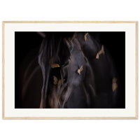 29c5f972-aee8-4c10-932c-a0ab42b98cf4