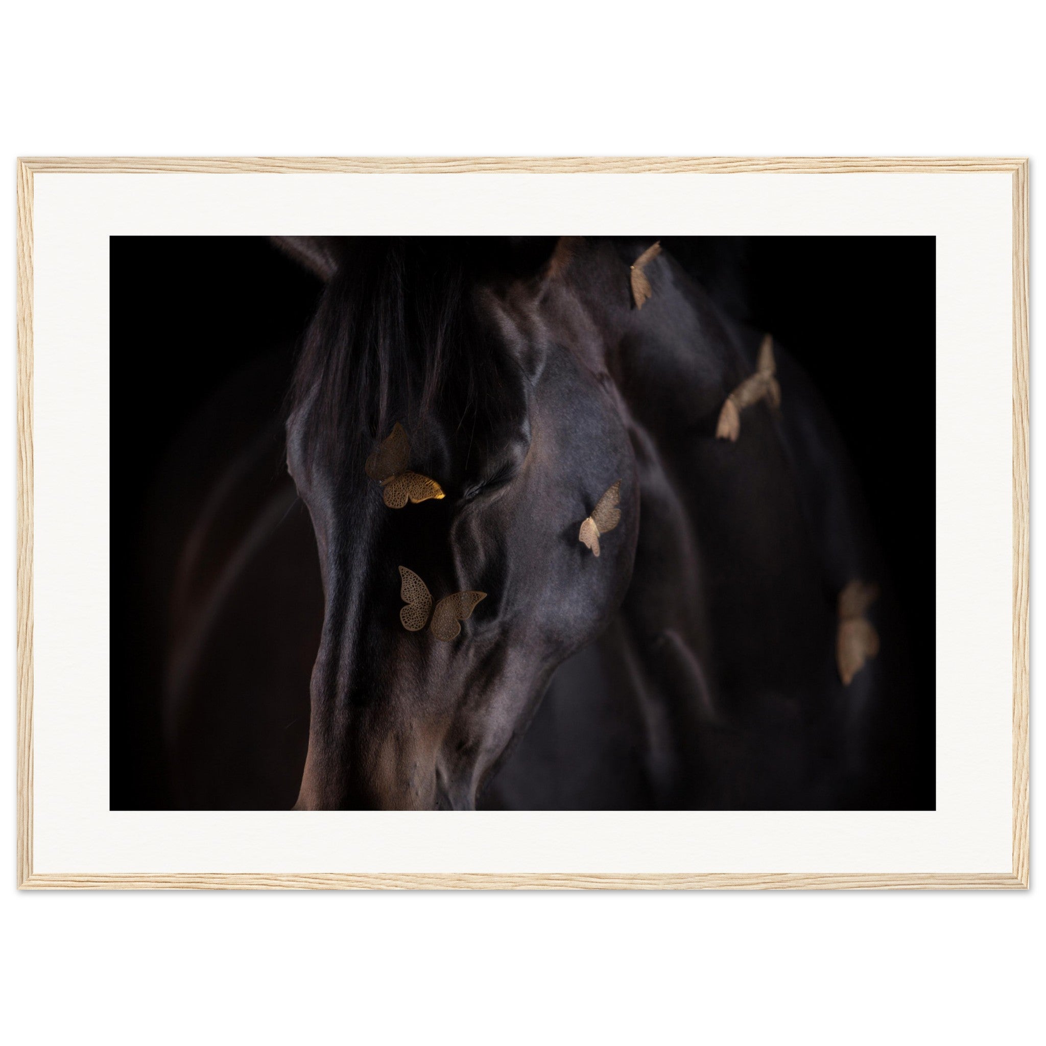 29c5f972-aee8-4c10-932c-a0ab42b98cf4