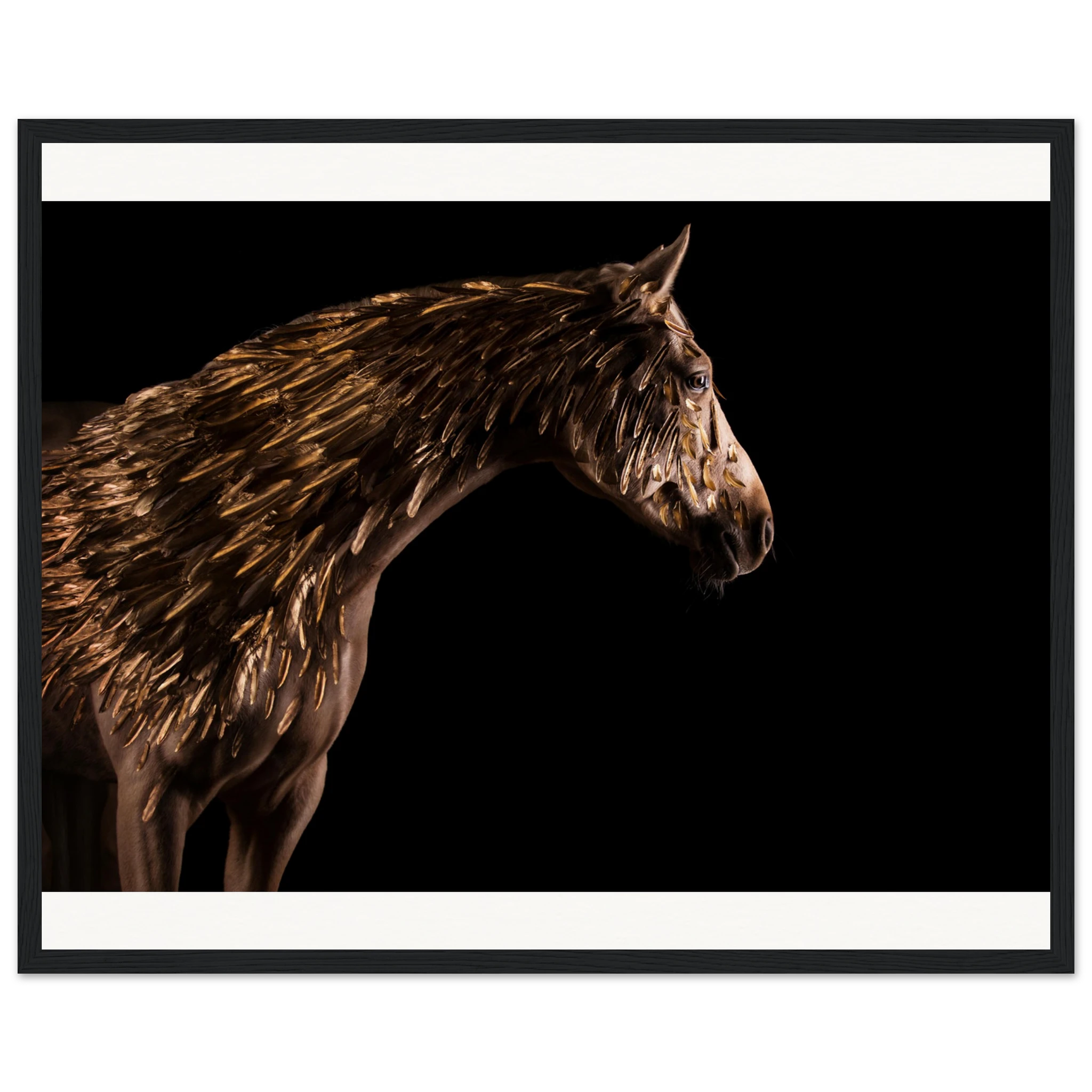 2a33b4ce-be10-4fe5-9476-f0e81958867f