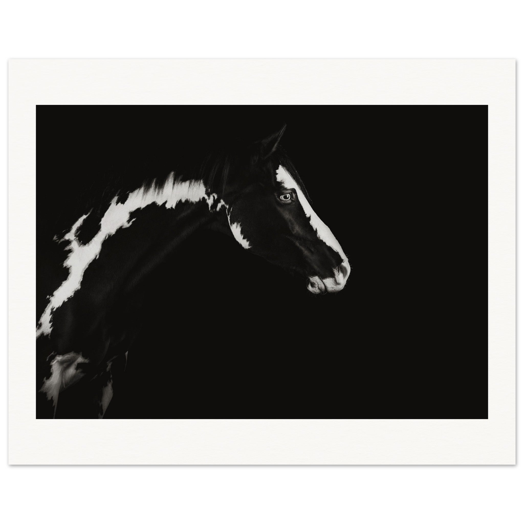 2a3986cf-58c5-4751-ab17-19b1d499825c