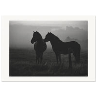 2a418993-c1fb-4eb8-a8b8-67933e9fd211