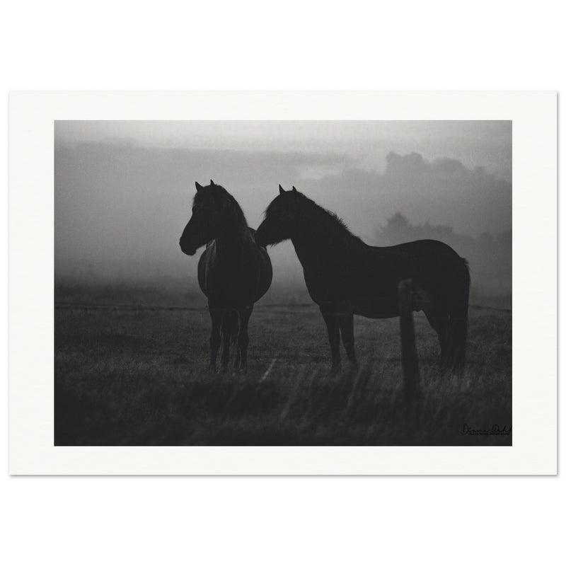 2a418993-c1fb-4eb8-a8b8-67933e9fd211