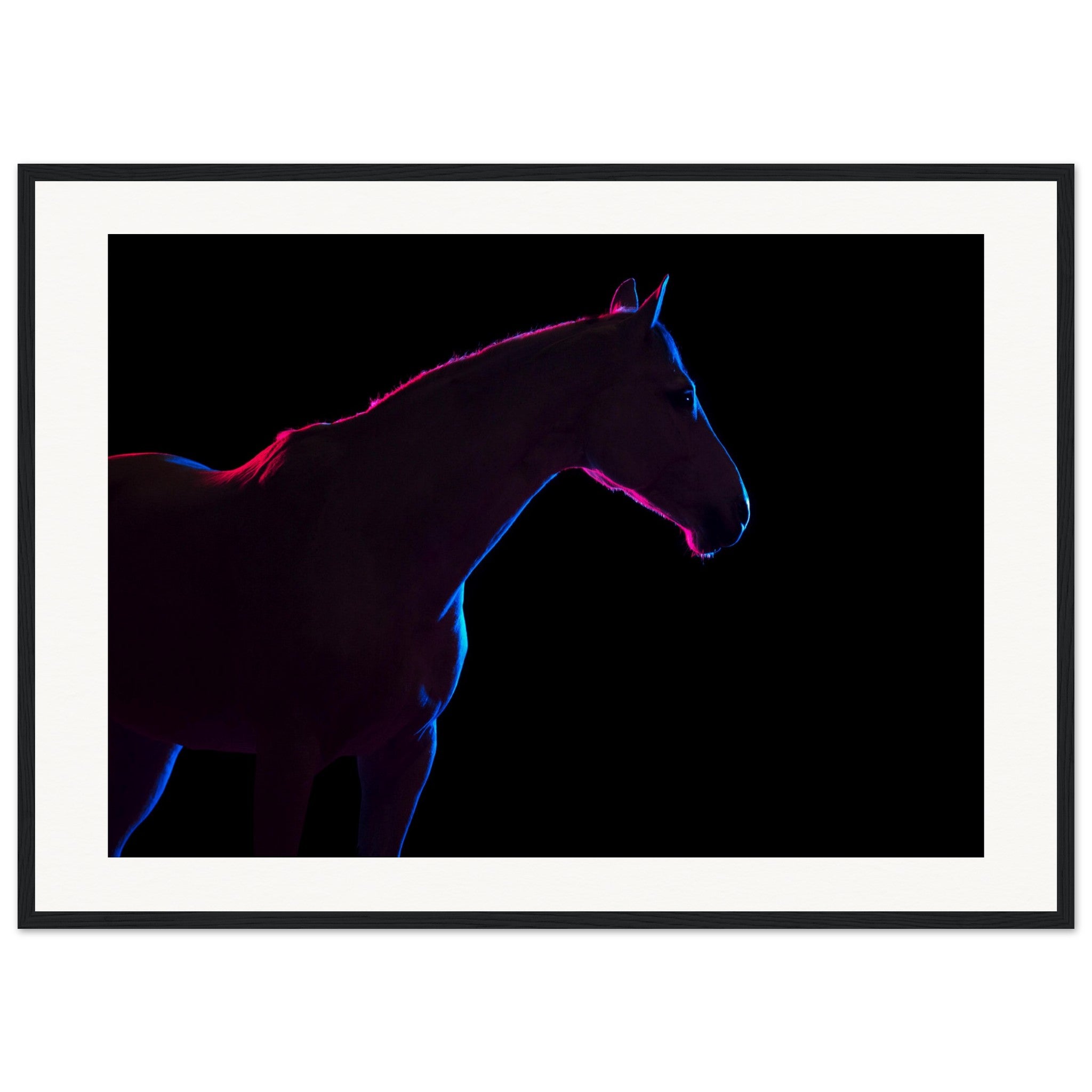 2a4f1585-61f1-4b52-8de5-72b788748688