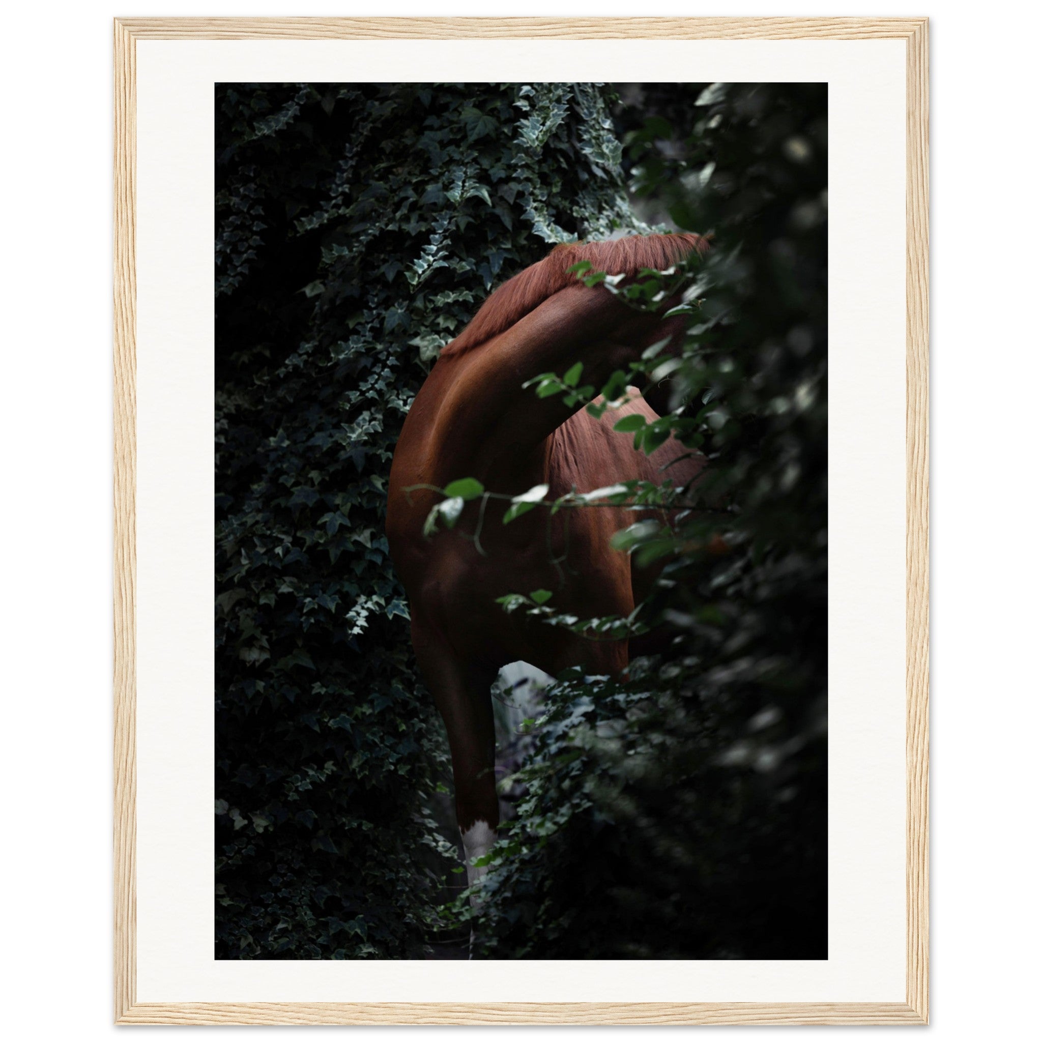 2a4f2780-2011-412f-a449-33ba05d23a1d