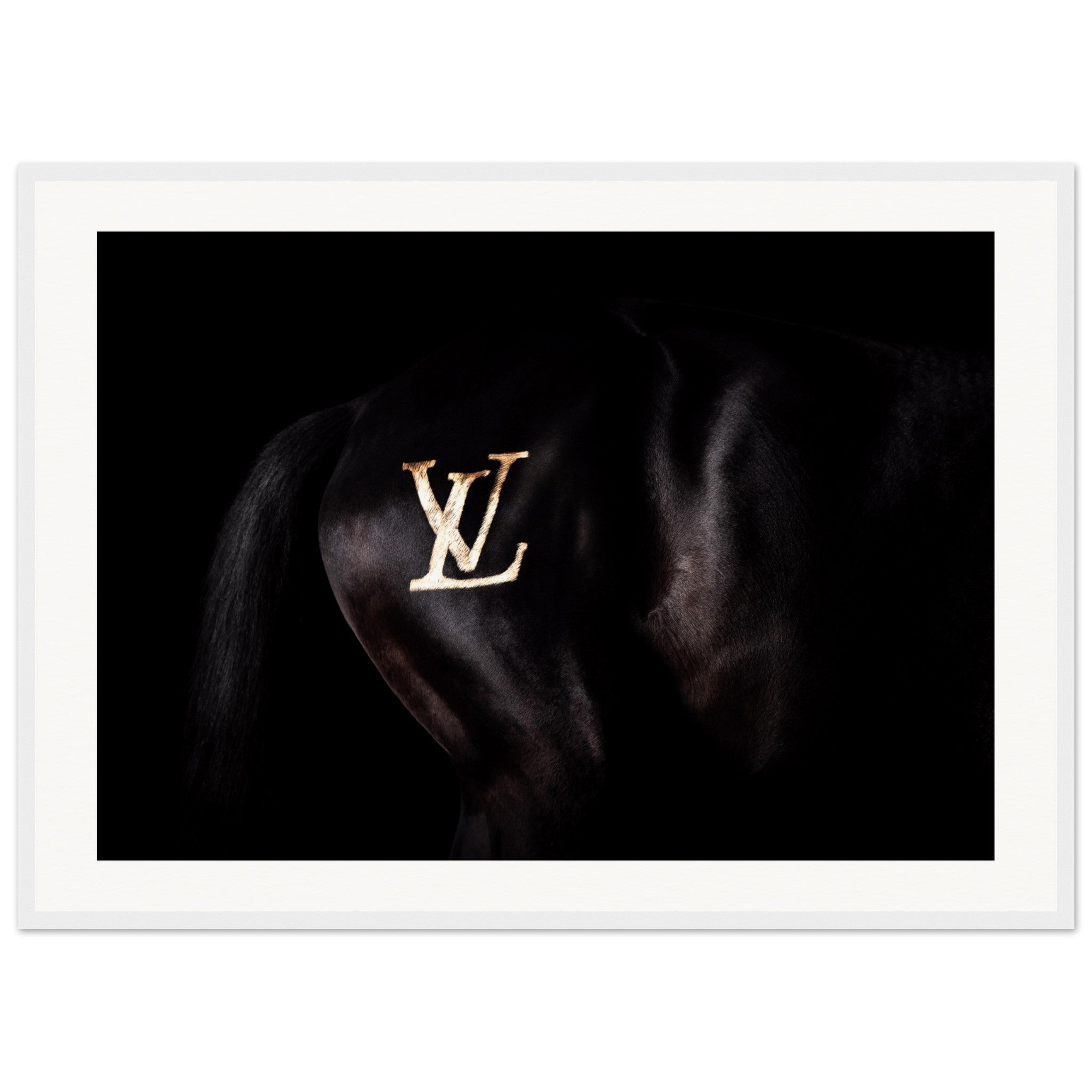 2a4ffbfd-f3af-40be-ab31-cae3236d4c1e