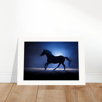 2a664a01-2fd3-46c7-86e3-f0576316ad5b