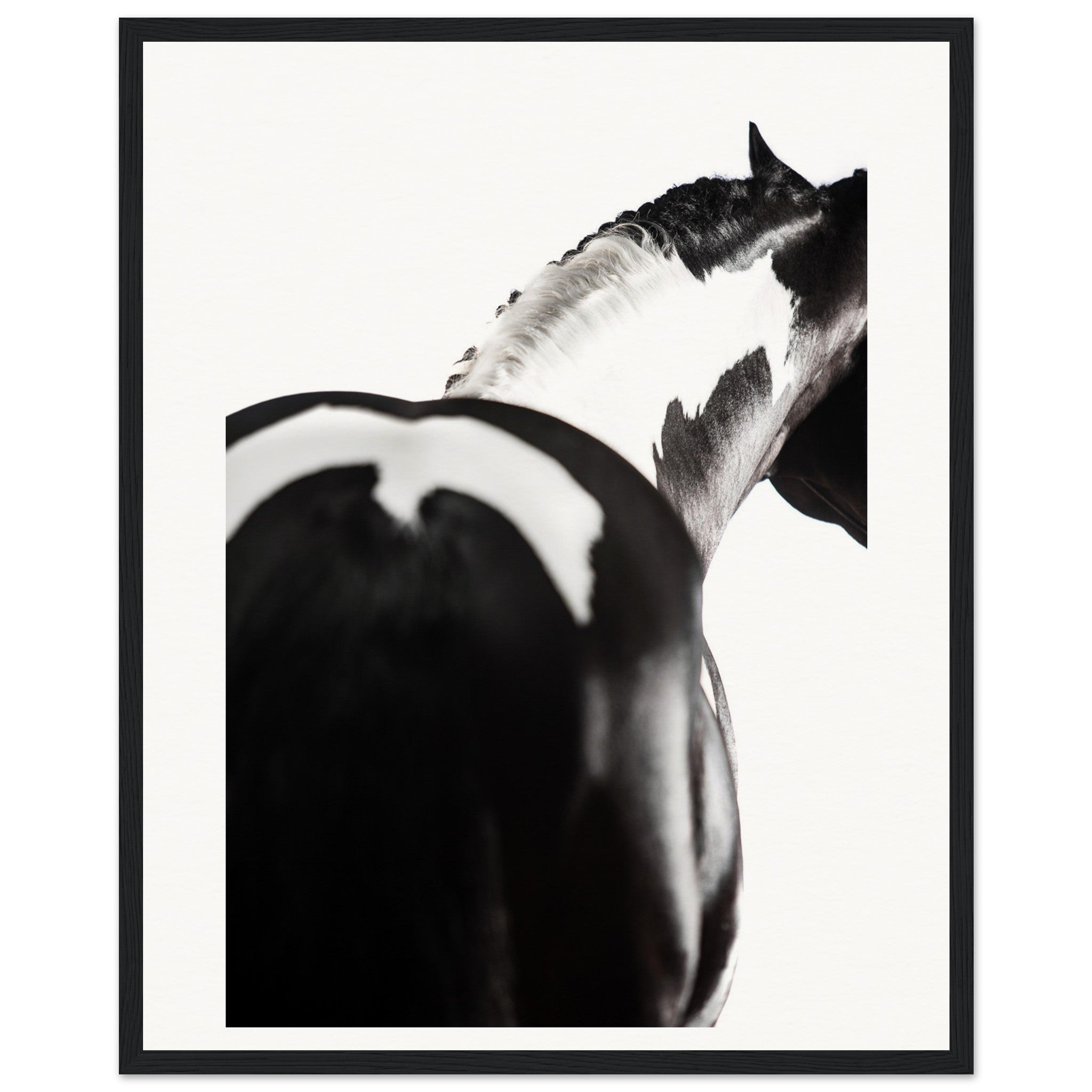 2abc5ca6-3e26-4fb7-838f-2d2a7f145c42