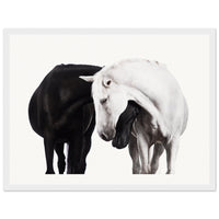 2ad8a899-d4c4-4815-94b5-88b93ca5b21e