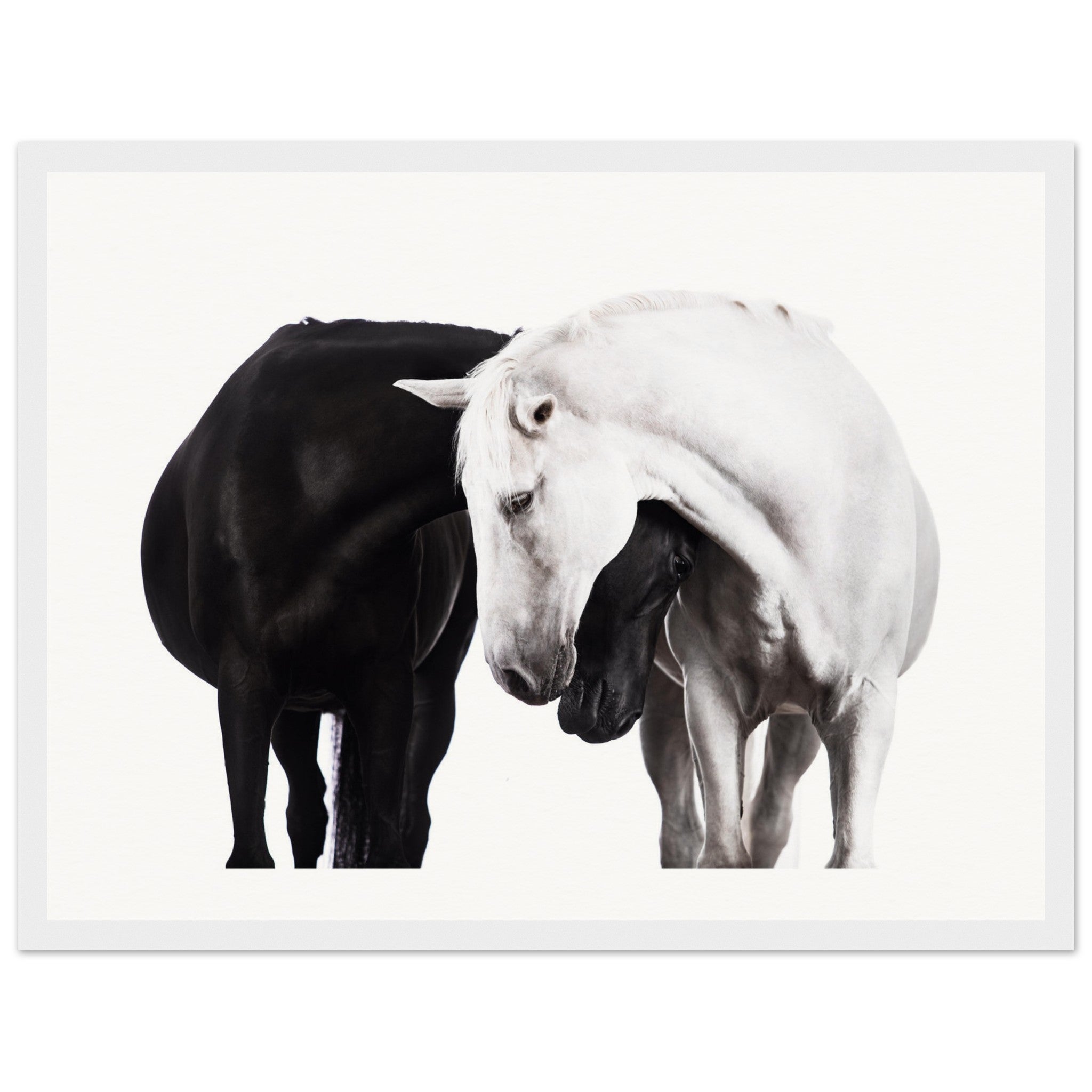 2ad8a899-d4c4-4815-94b5-88b93ca5b21e