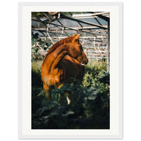 2af6ae32-ad5a-44a2-b7bd-4e51168a4f04