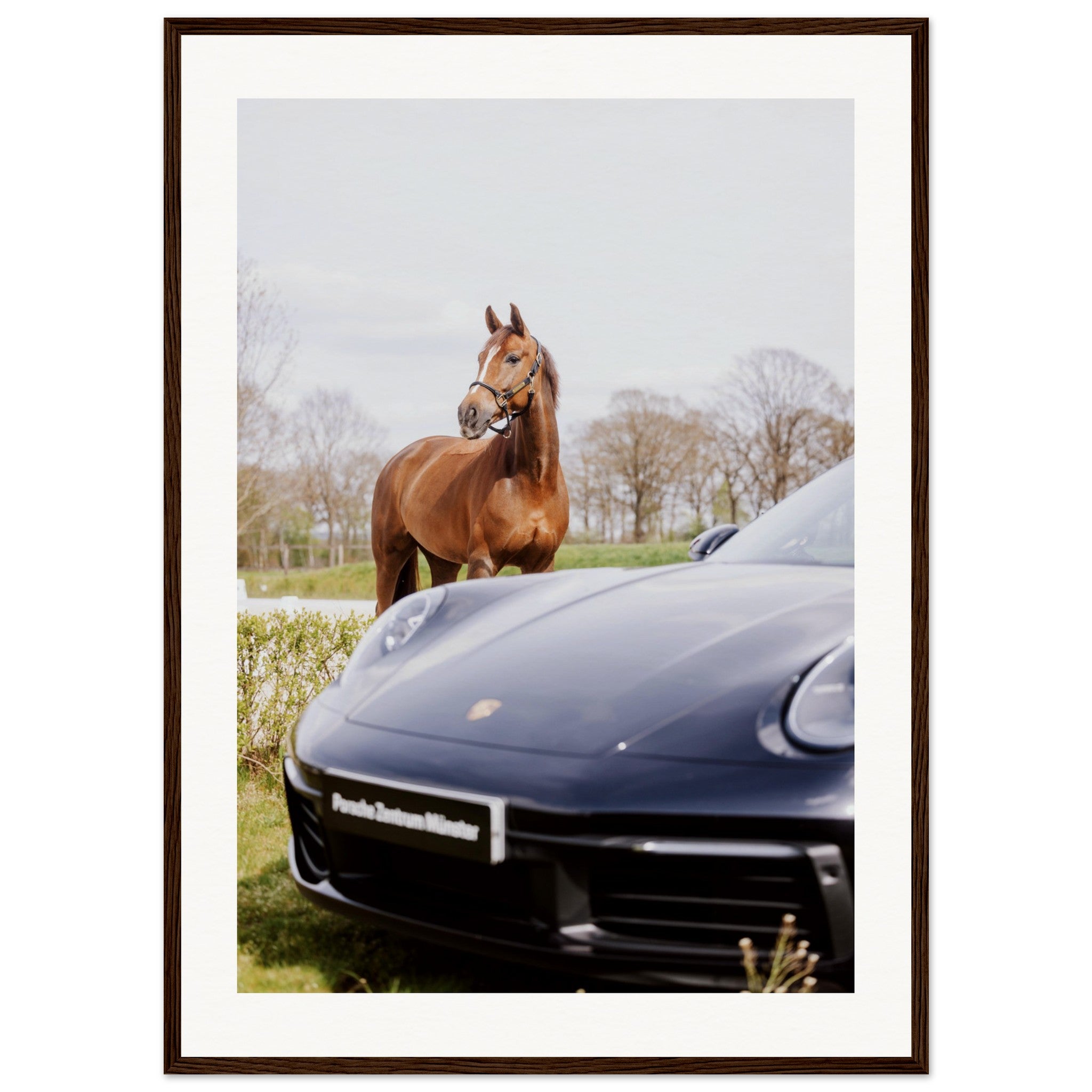 2b39f1fb-b04c-4ada-aaad-b6c604c4a806