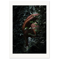 2b525017-62ab-4e6c-8640-910894b89d77