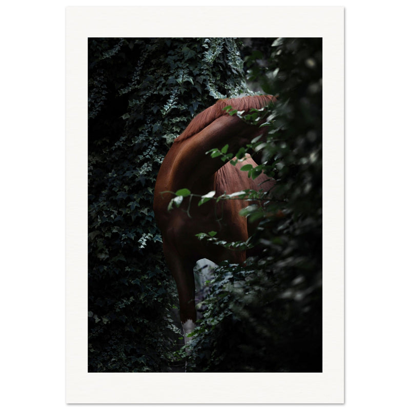 2b525017-62ab-4e6c-8640-910894b89d77