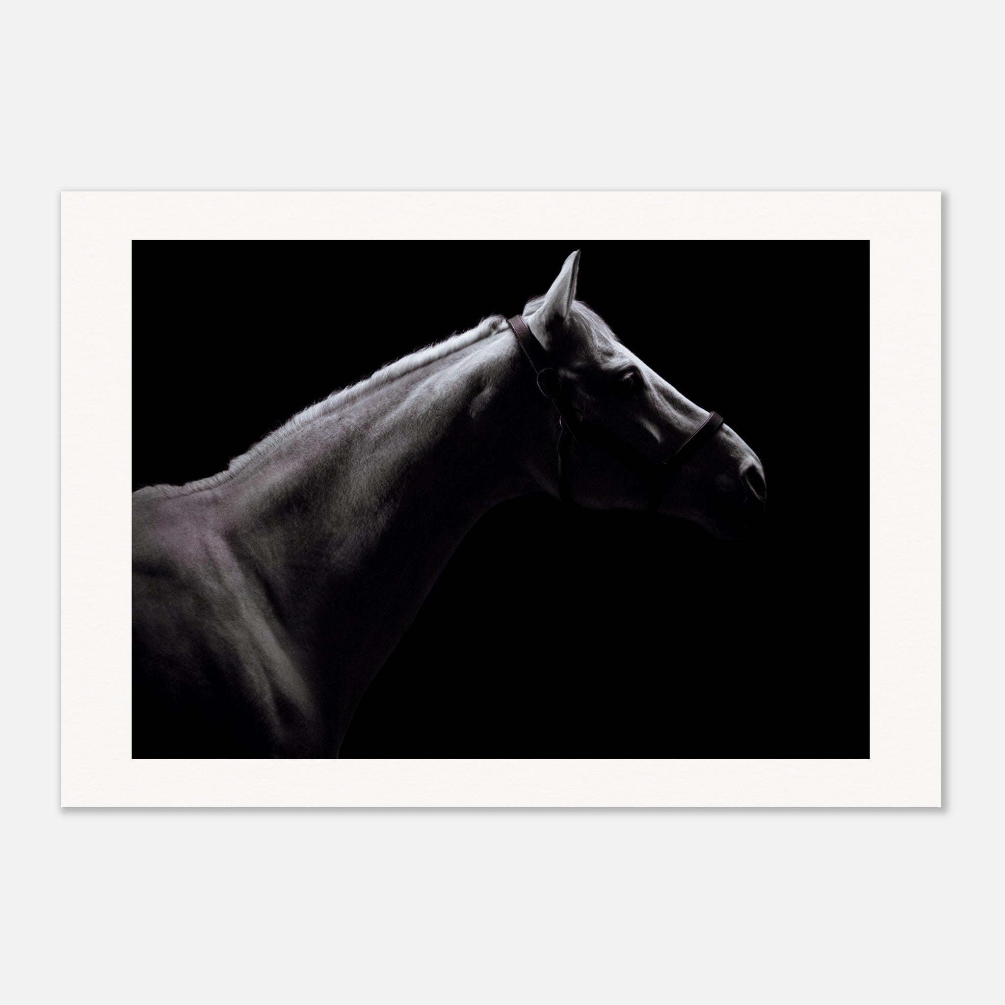 2b6072c5-71fe-427f-9d40-b35b64ce4414