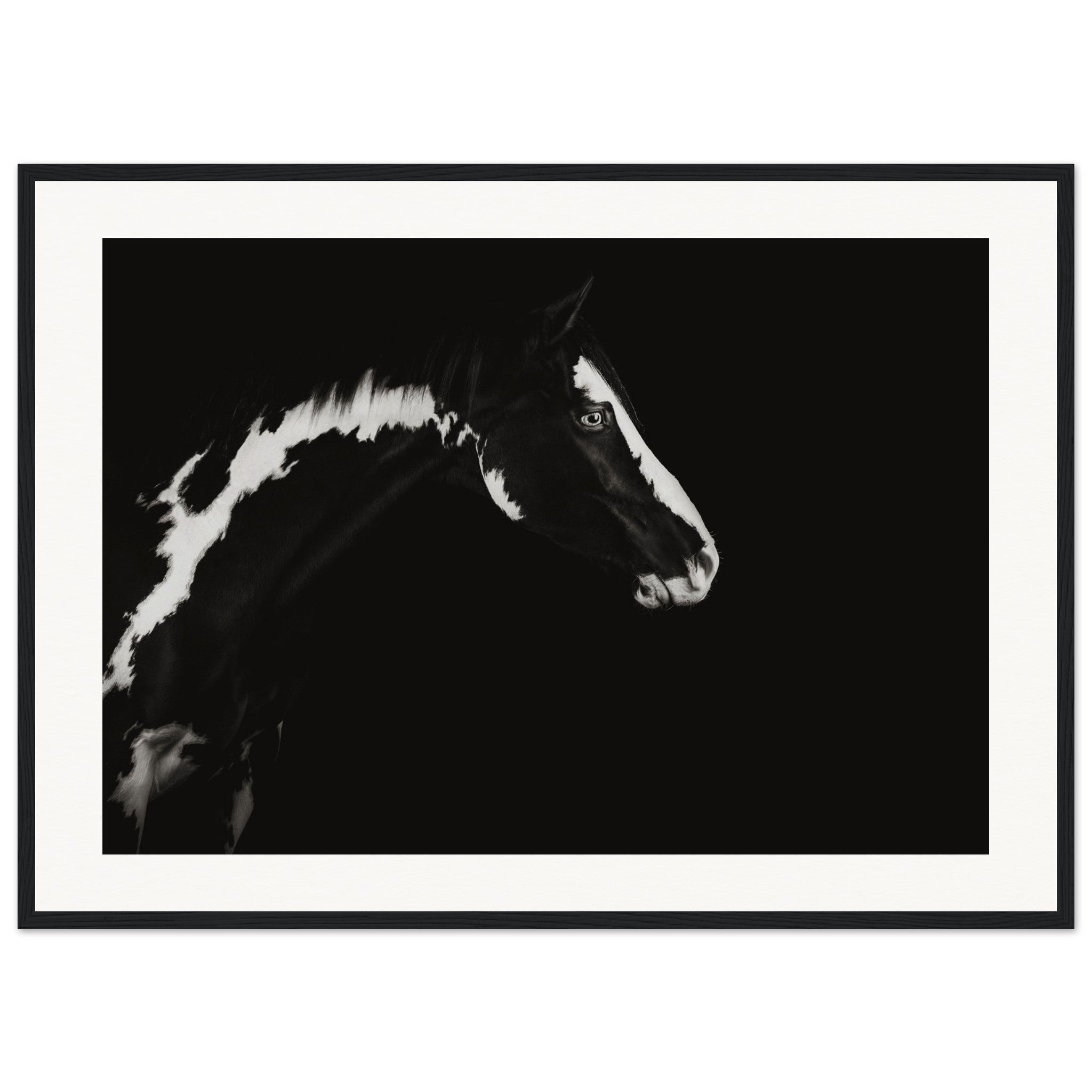 2c3c5ce2-f7c5-445b-9ed2-c102cd0dd1de