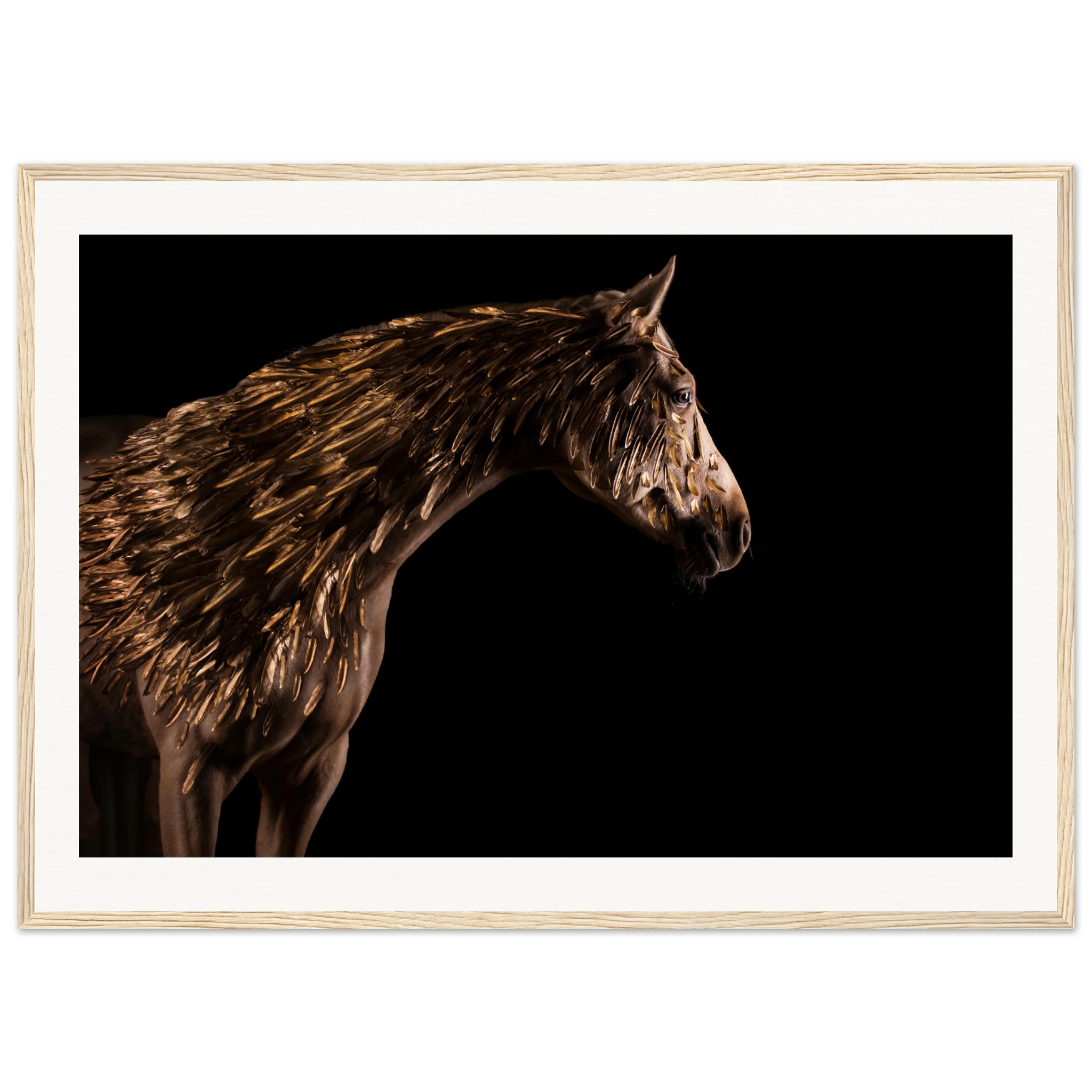 2c4875d8-8c63-47b6-908d-c5c3e8c6445a