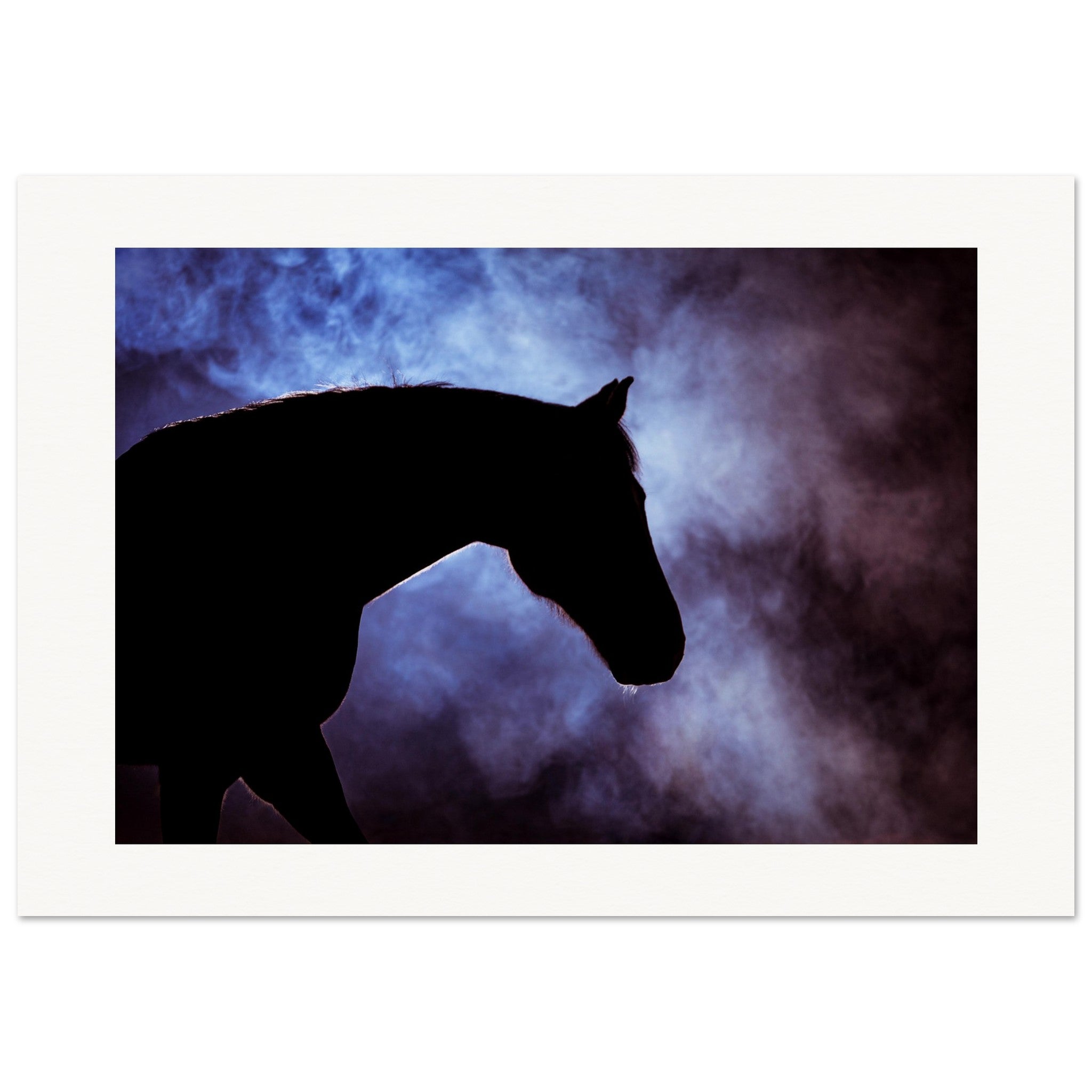 2c5b6c7c-ef5a-4ef3-94b4-5f33017e5cbc