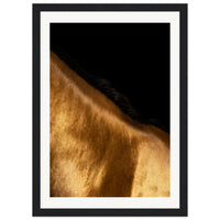 2c5e004d-21d6-40e4-8c42-82a31fefc560