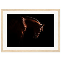 2ca94de9-d77d-4ff1-82d0-6a7cb3d1221b