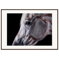 2ce3f4cb-b767-4adc-a62f-3c7bdb6cc1b7