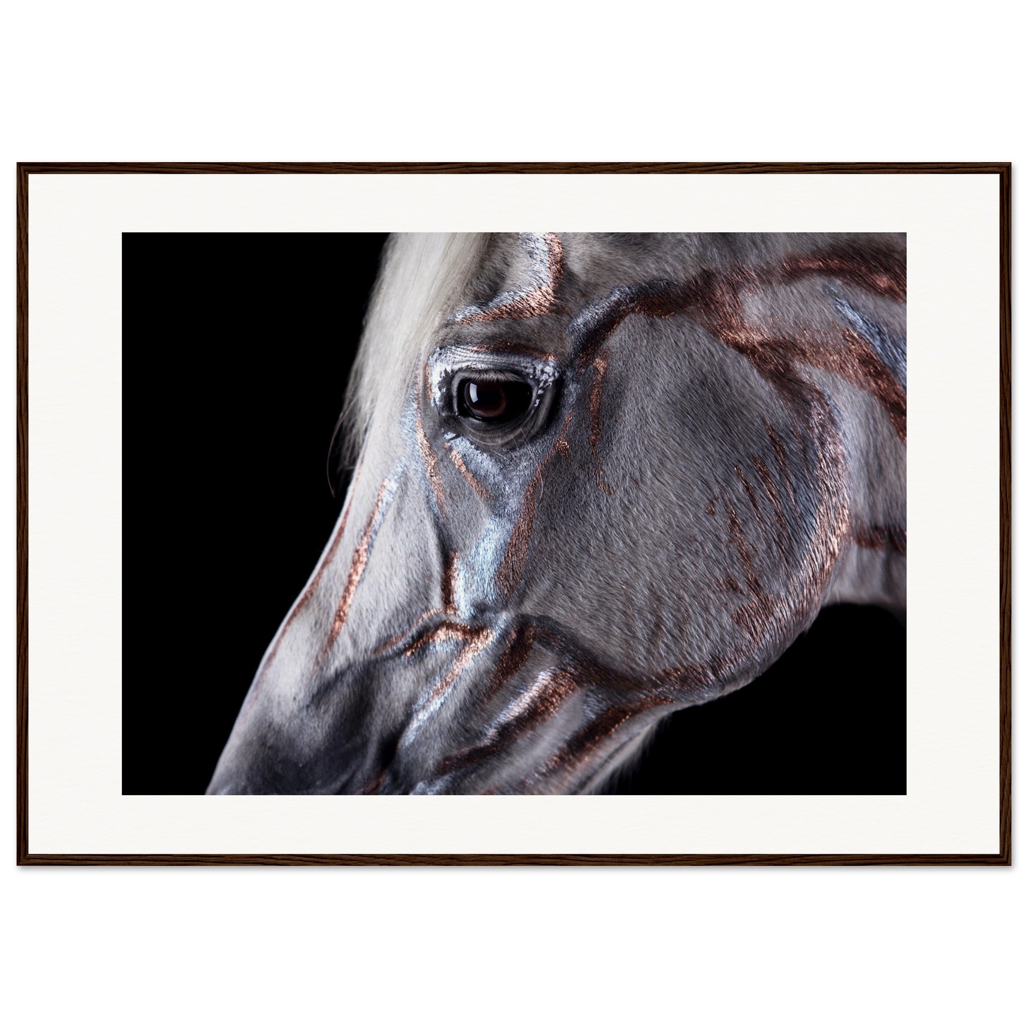 2ce3f4cb-b767-4adc-a62f-3c7bdb6cc1b7