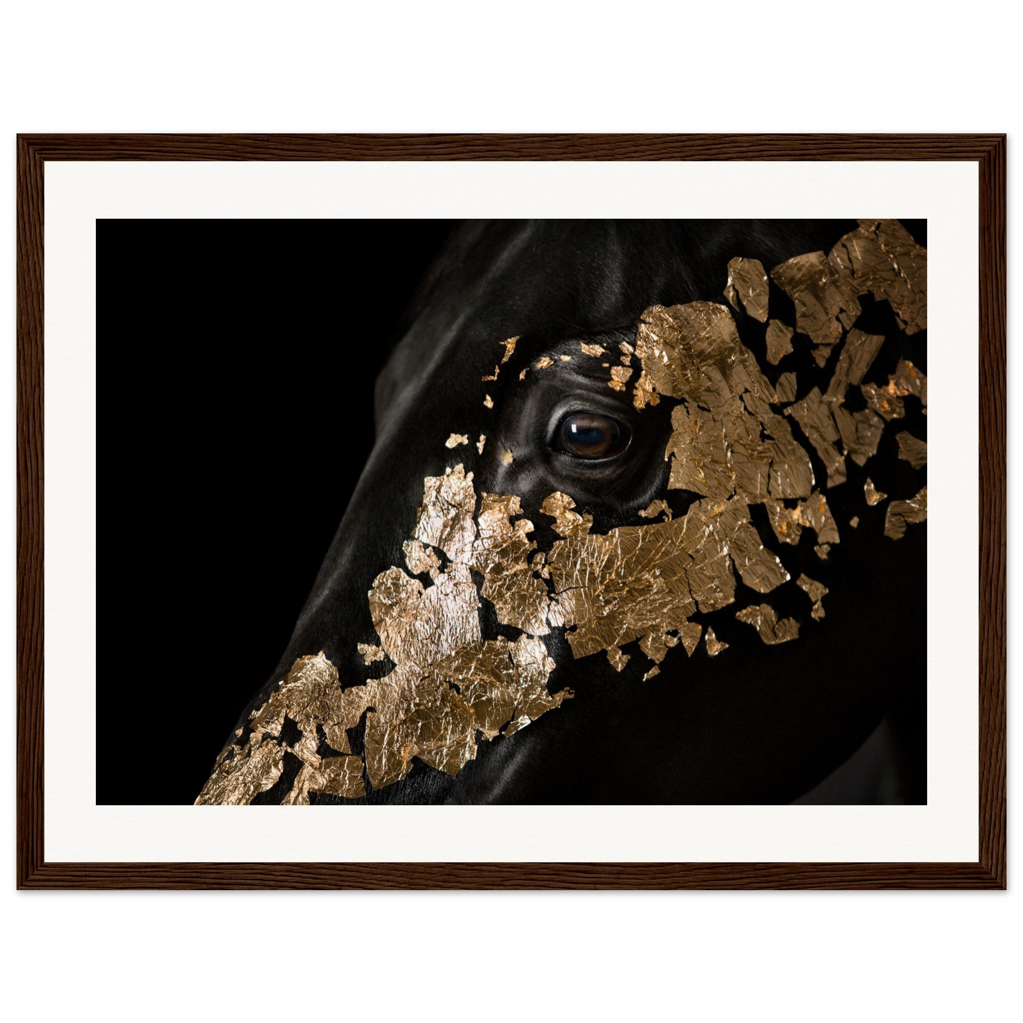 2d08288f-3375-45fe-9330-cbfebd6d9703