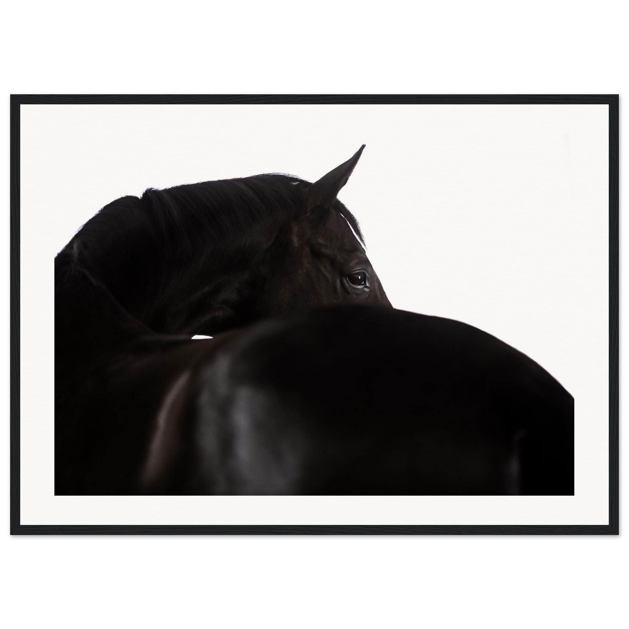 2d2c0593-0377-43dd-972a-d6c57f09dc46