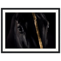 2d6b9caa-a7a3-48a7-ad93-2d67612c2301