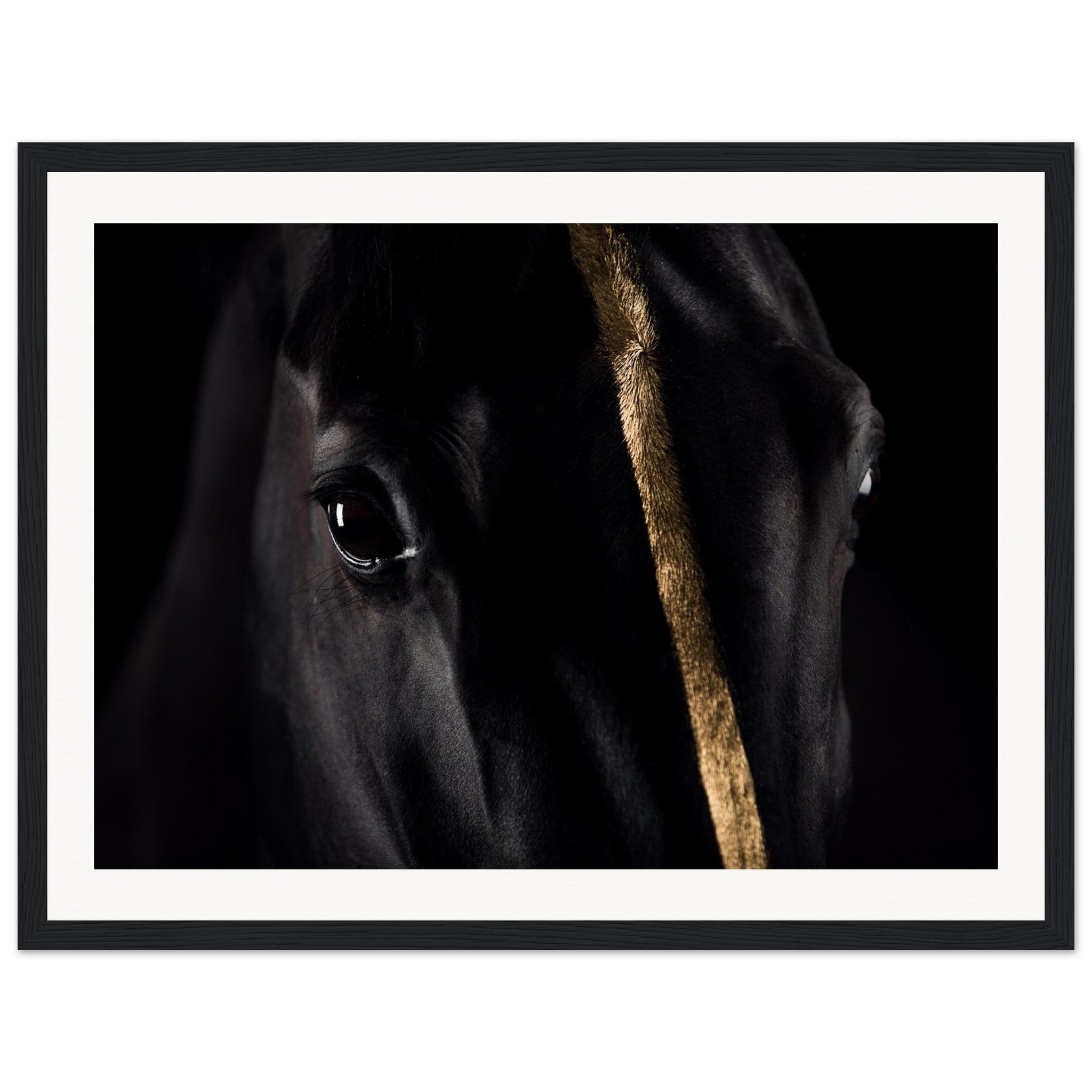 2d6b9caa-a7a3-48a7-ad93-2d67612c2301