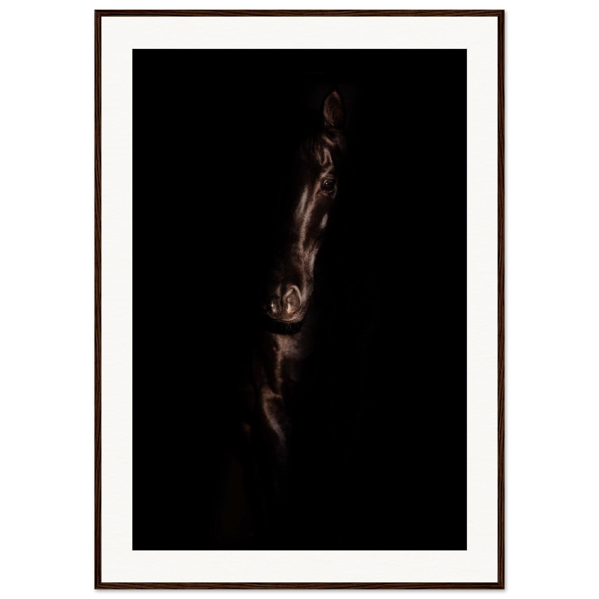 2d6ba1c4-1df3-43b2-969f-00f066580a0b