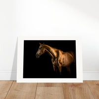 2dd41ed3-2358-4b69-8ee7-6208cf3504fc