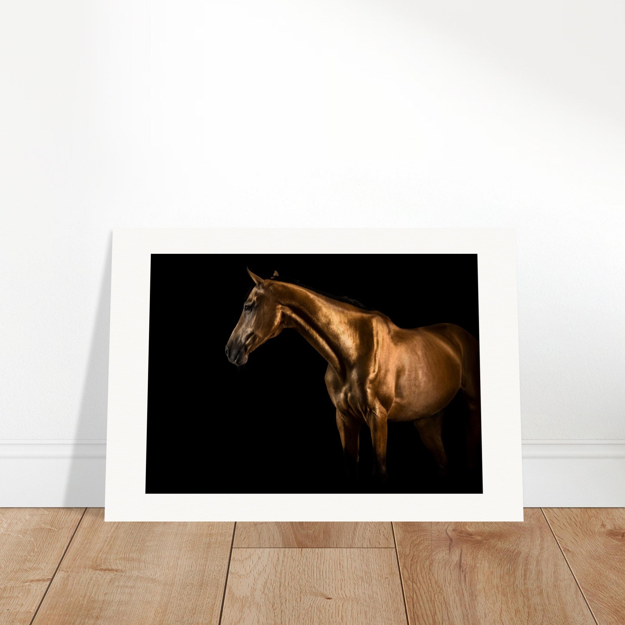 2dd41ed3-2358-4b69-8ee7-6208cf3504fc