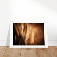 2dead566-ce66-48dc-8c34-86338e3f5731