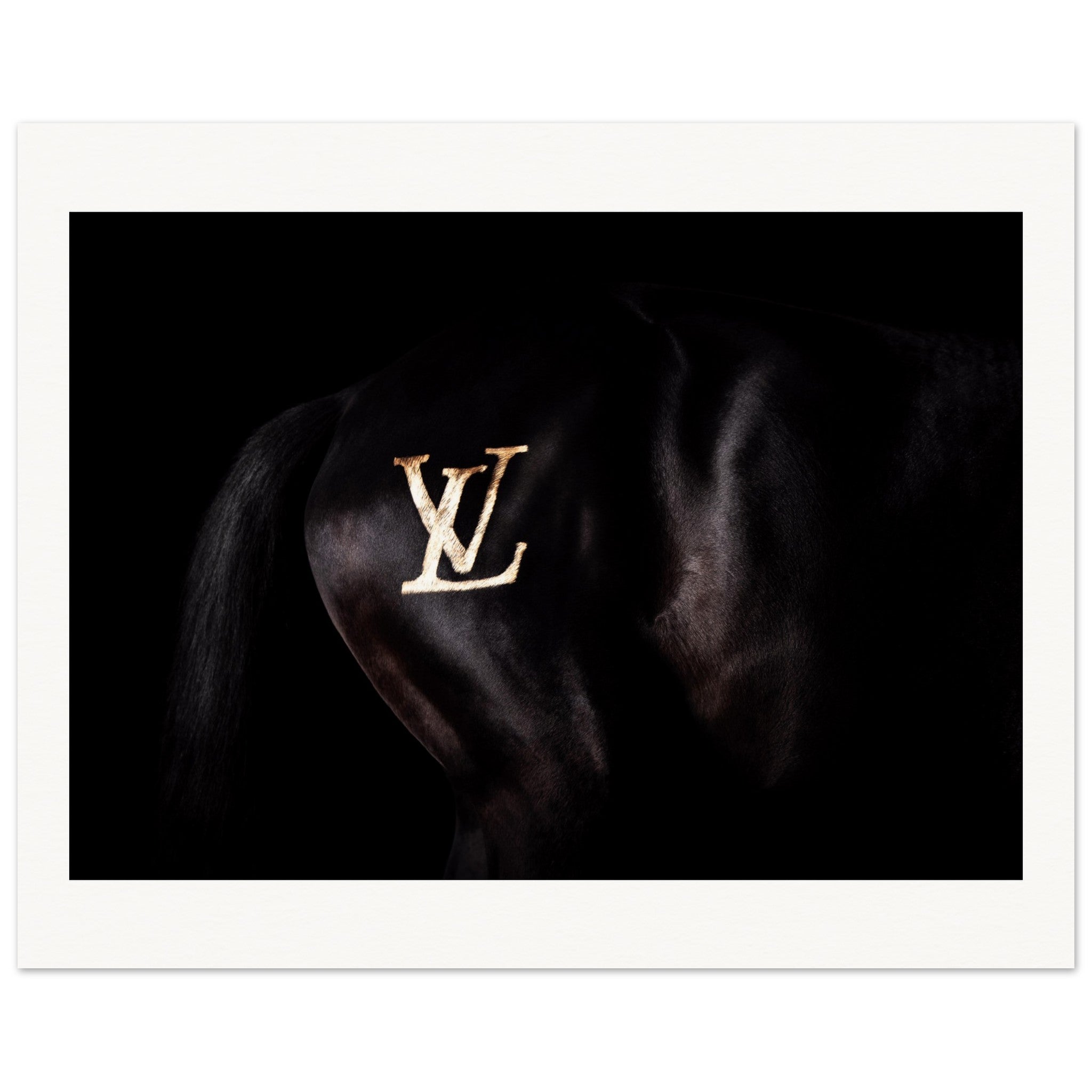 2e2f5835-0890-4e7c-b0b8-6f3975e34e97