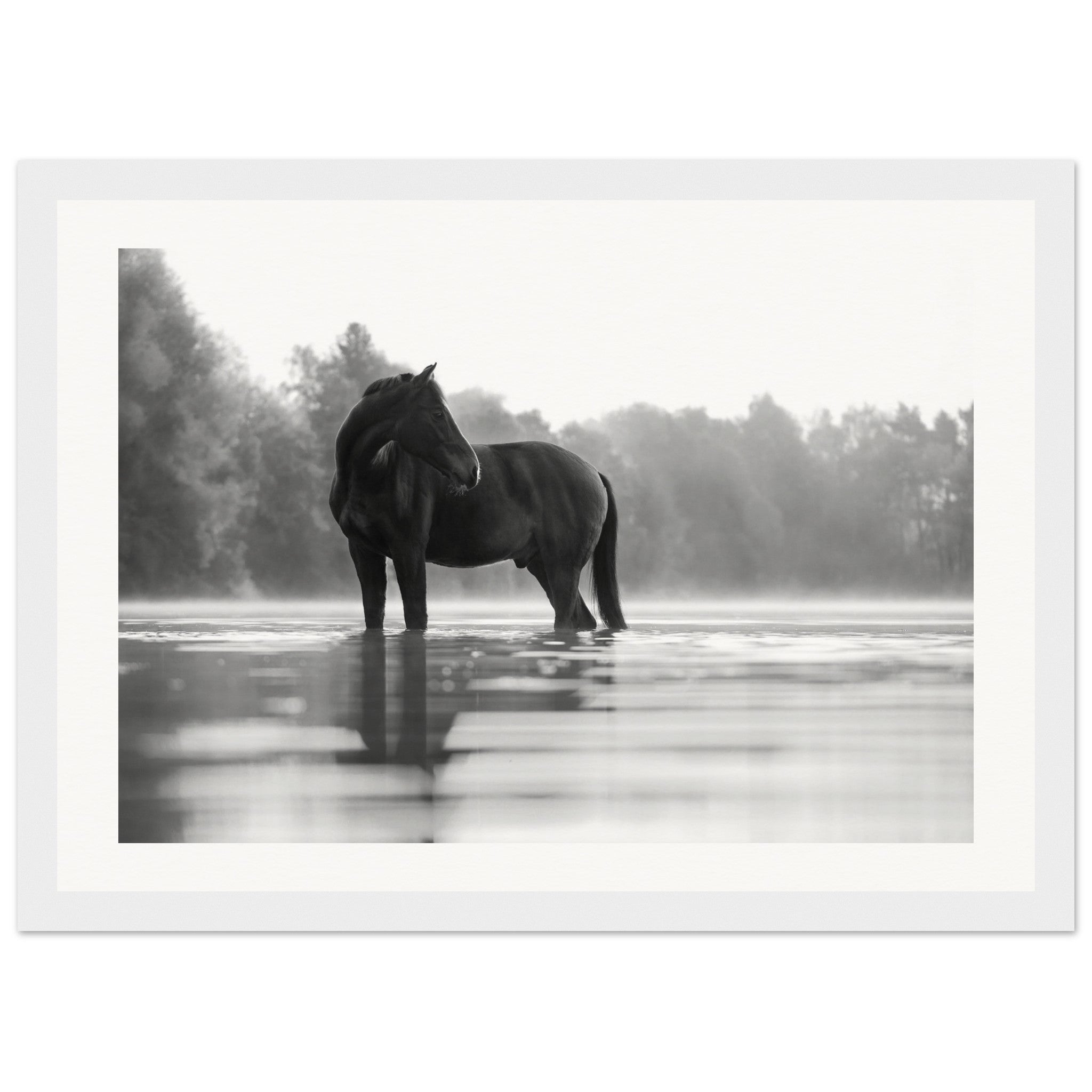 2e77c427-d7f7-45f1-b0b1-f51f0e898ccd