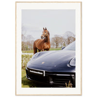 2e999f88-2f9b-46fc-b22a-bef75ca83d4a