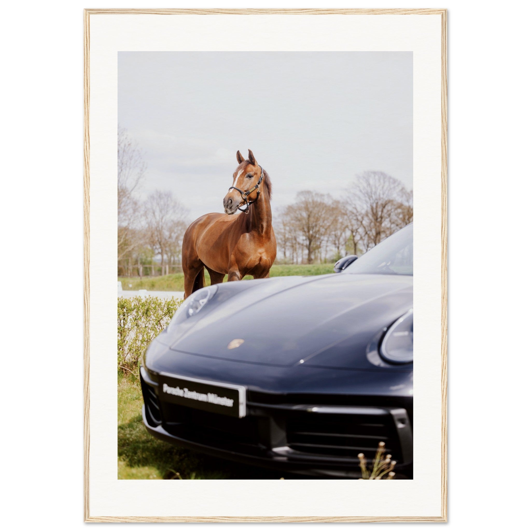 2e999f88-2f9b-46fc-b22a-bef75ca83d4a