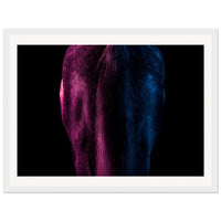 2ede9d45-782b-457f-b176-4a074e8b613e