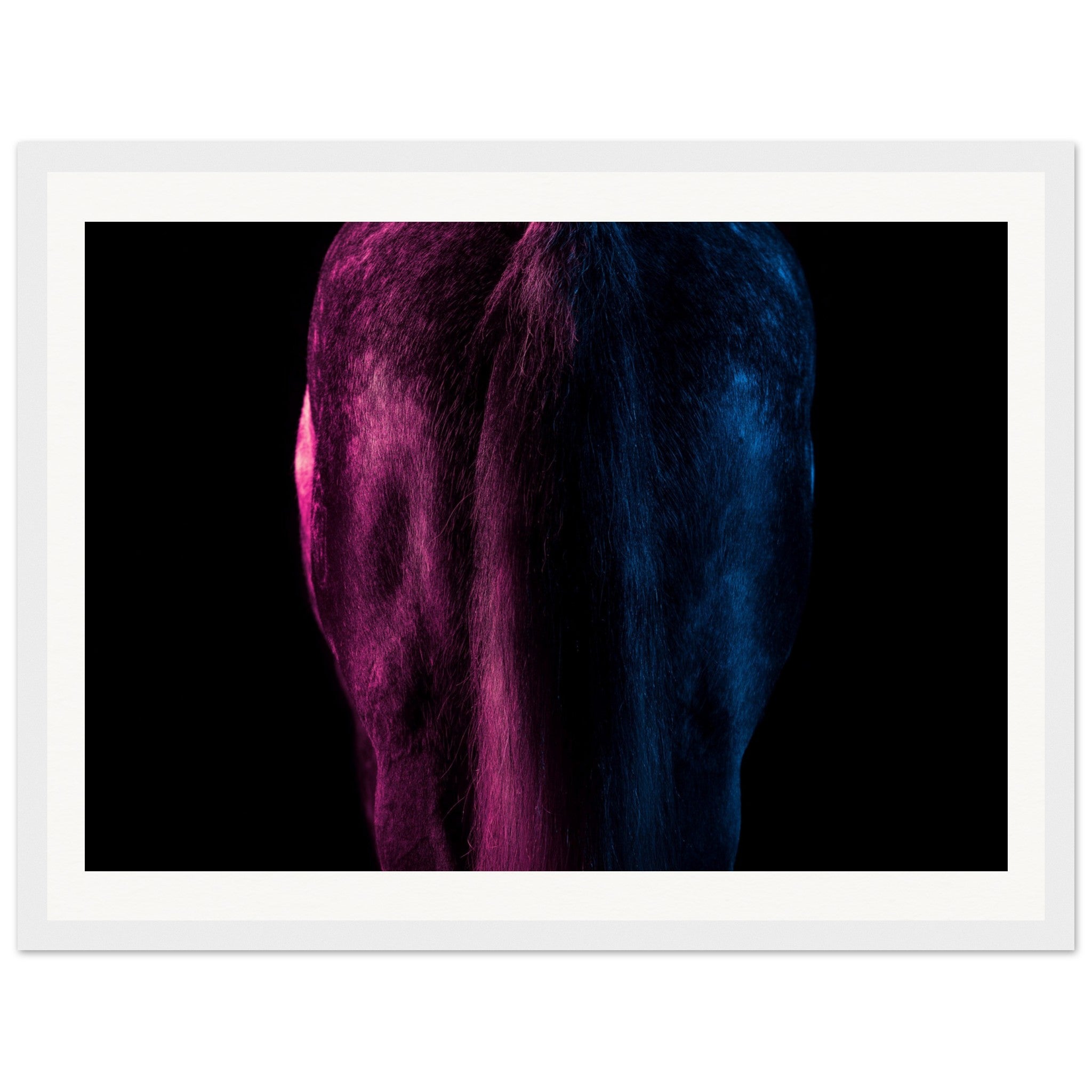 2ede9d45-782b-457f-b176-4a074e8b613e