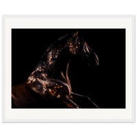 2ee53da8-1309-429d-b731-cbf944a363ee