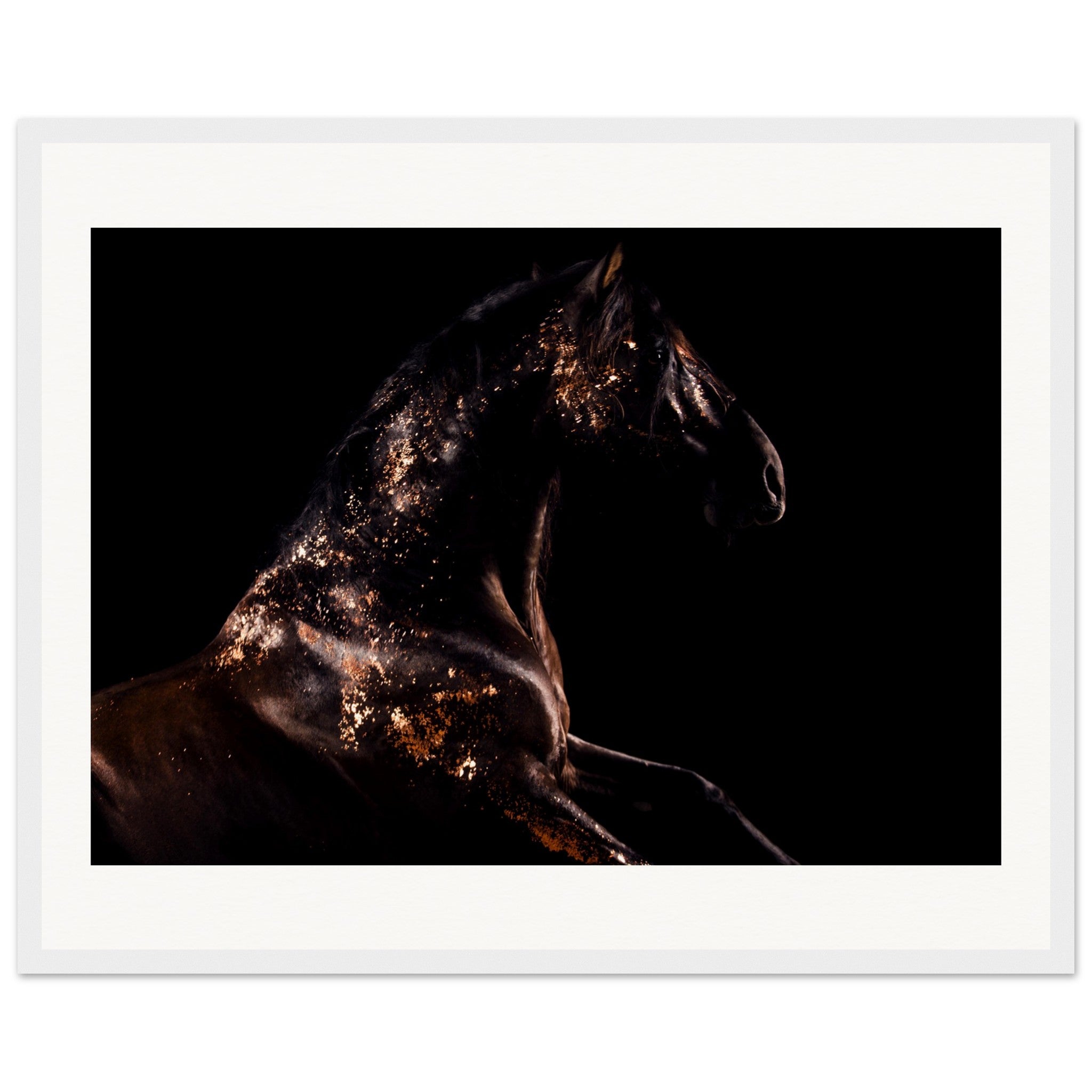 2ee53da8-1309-429d-b731-cbf944a363ee