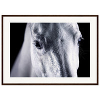 2eee116d-1ef9-460f-8a44-ba8d3383b86f