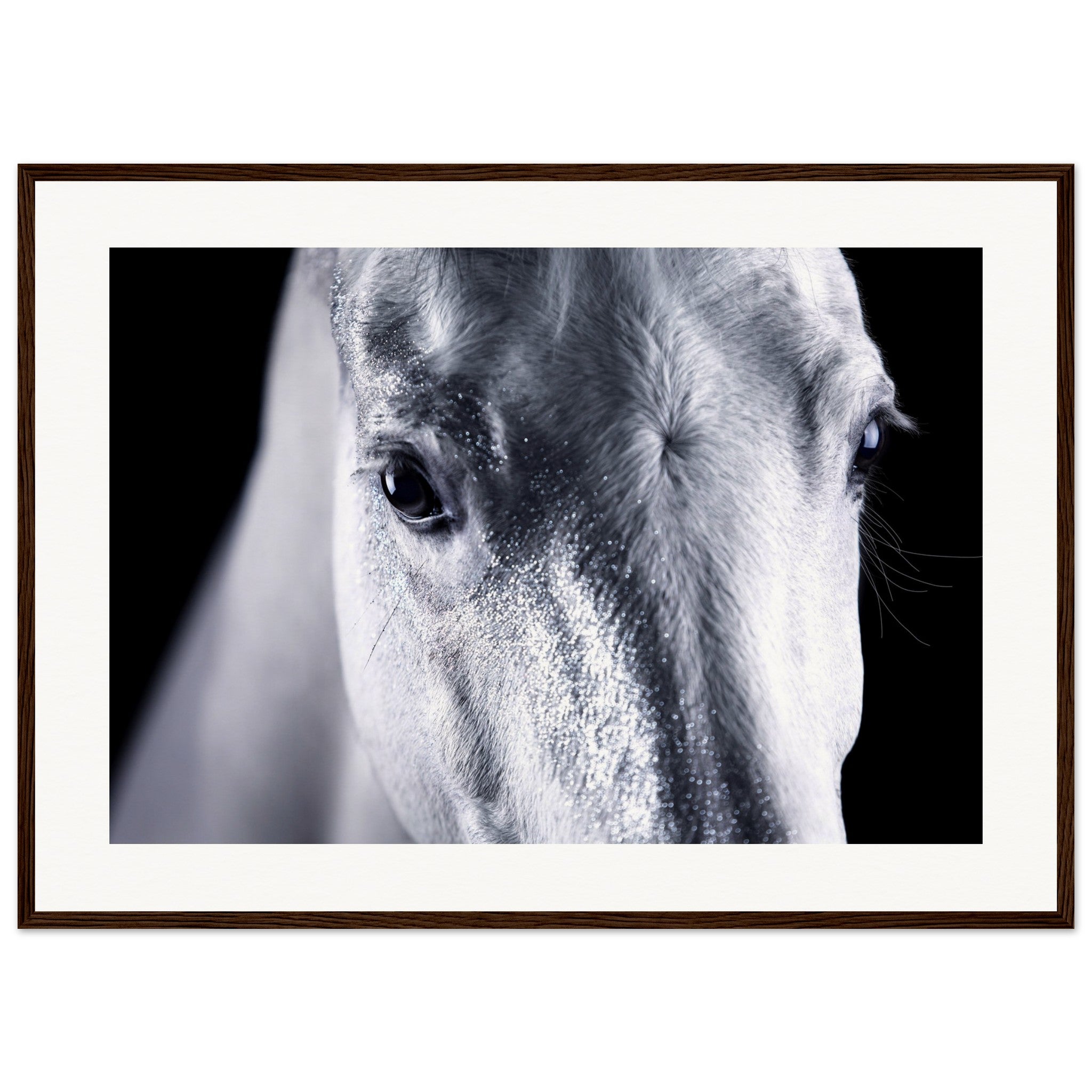 2eee116d-1ef9-460f-8a44-ba8d3383b86f