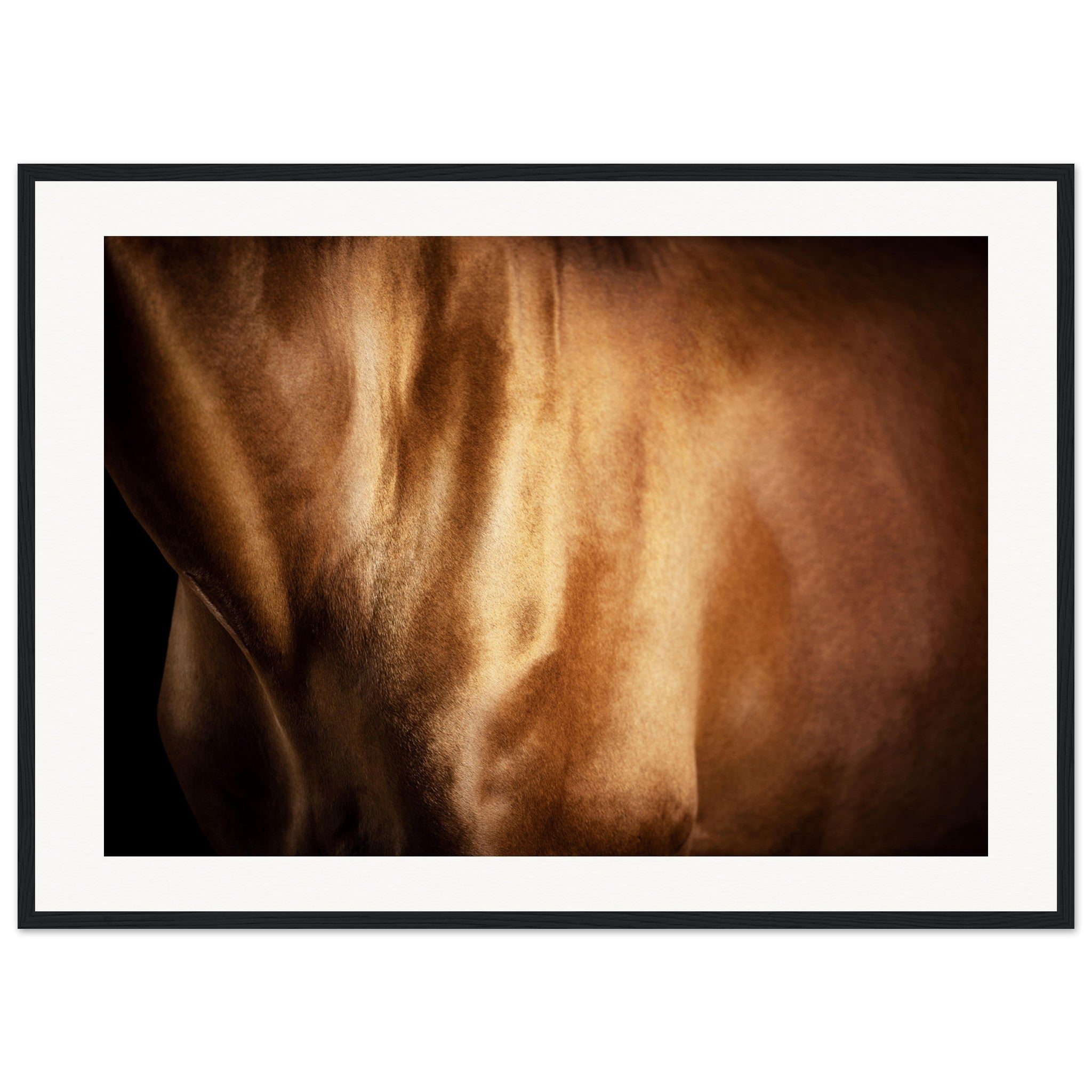 2efc37aa-b400-4c9f-8408-cbdd7c90a675