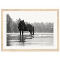 2f6b55fe-edce-45d5-94b0-30d882fa8f61